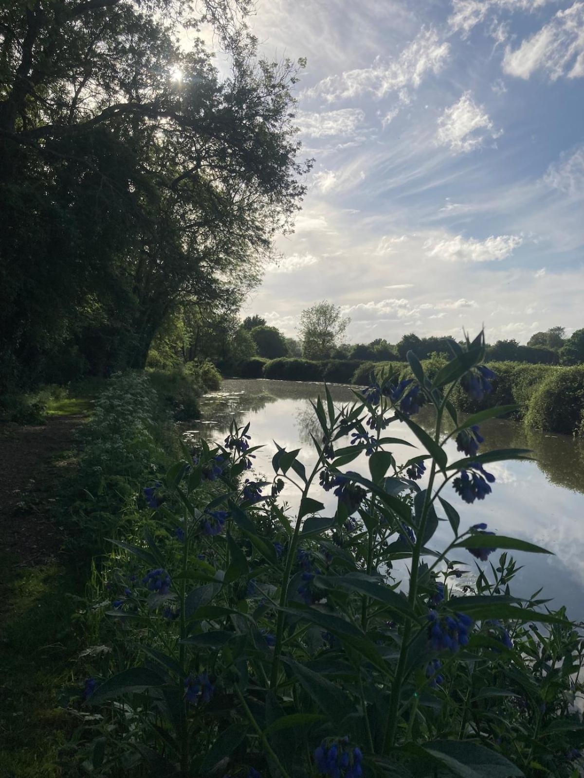 Dutch Cruiser Ship On A Tranquil Secluded River Tonbridge Exterior photo